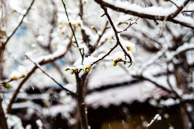 分和