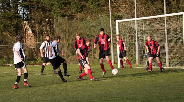 邵佳一的成 邵佳一的成