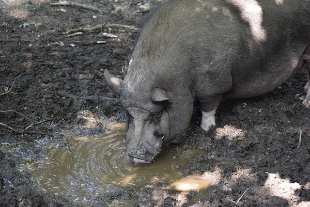 凯恩如何改 凯恩如何改