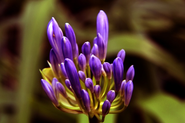 而是多方面 而是多方面