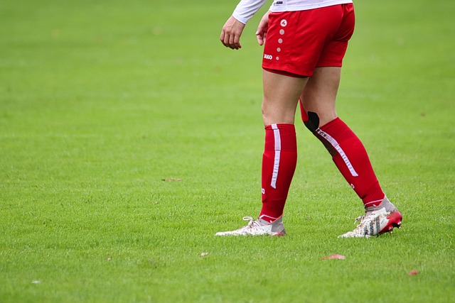 综上所述 综上所述