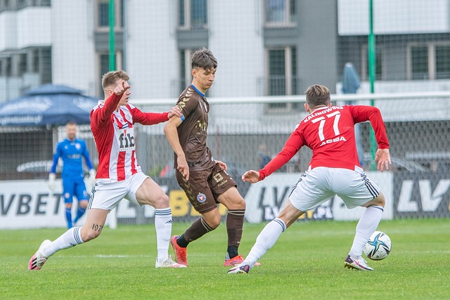 培养上的成 培养上的成