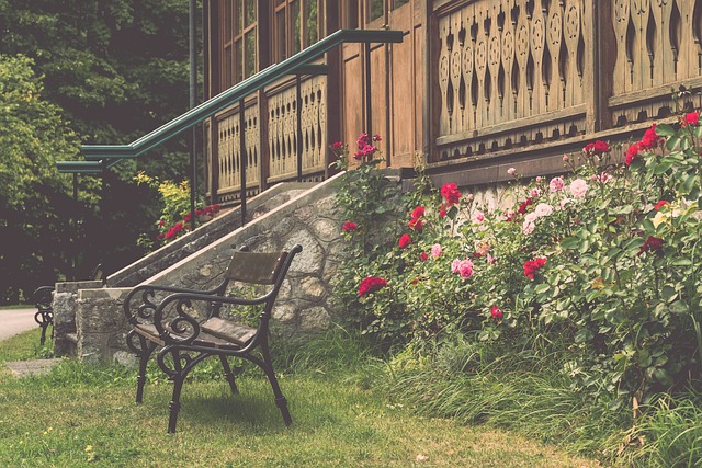 球迷和即将 球迷和即将